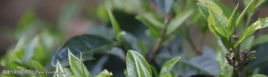 �������ӹ�����Ŀڸ����ص�