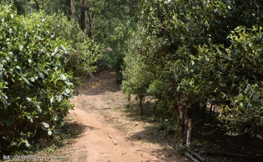 �������ӹ�����Ŀڸ����ص�