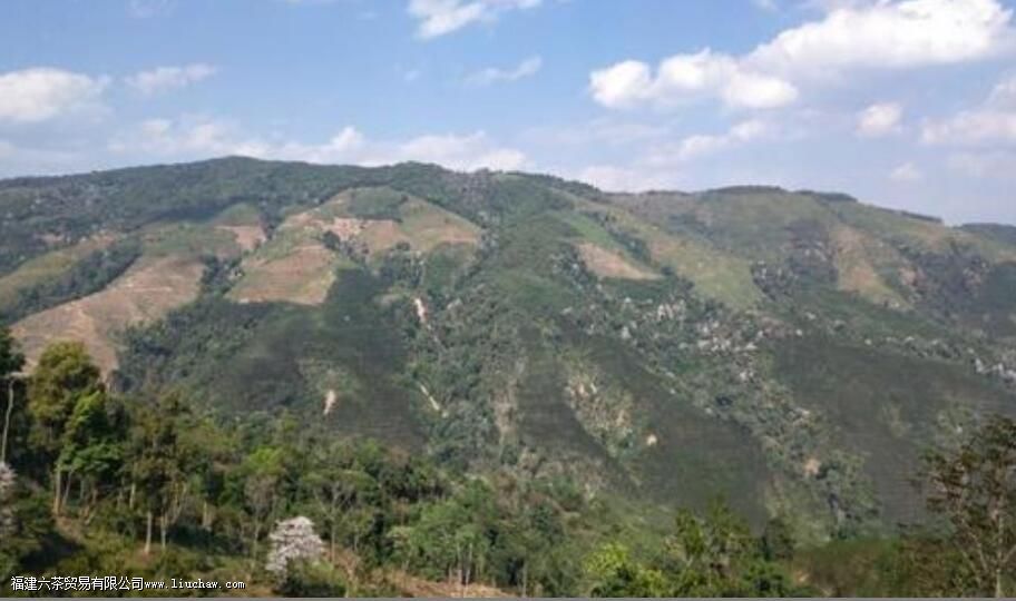 �����������������ɽ��