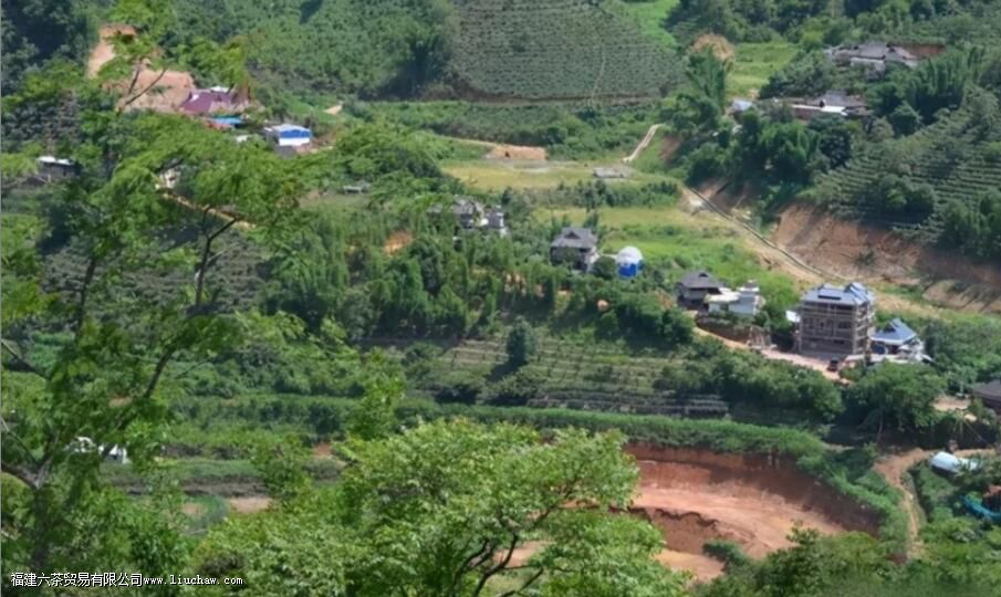 �����������������ɽ��