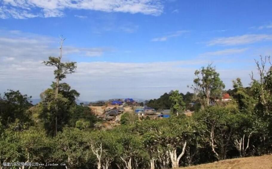 �����������������ɽ��