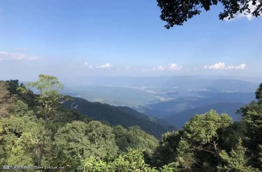 �����������������ɽ��