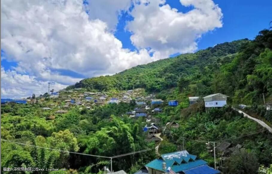 �����������������ɽ��