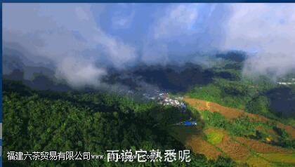 �����������������ɽ��