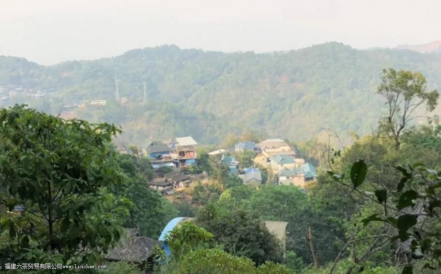 �����������������ɽ��