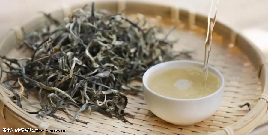 荒野茶有哪些优点 荒野茶有哪些优点