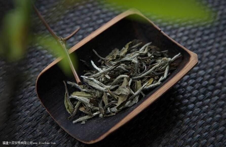 荒野牡丹王茶的特点 荒野牡丹王茶的特点