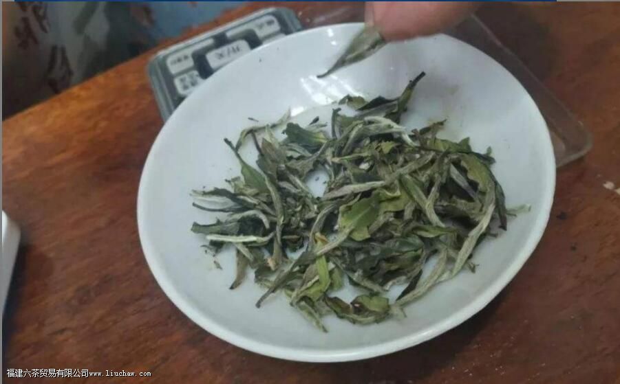 荒野牡丹王茶的特点 荒野牡丹王茶的特点
