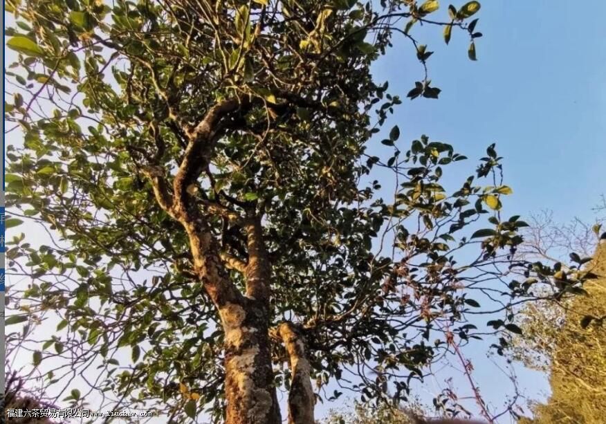 �Ʋ����ն�����ص�