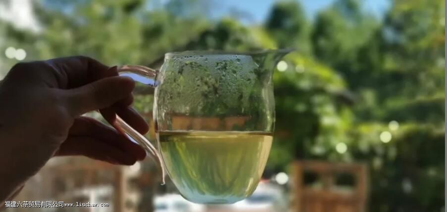 黄茶鲜为人知,但论其品质,不输绿茶 黄茶鲜为人知,但论其品质,不输绿茶
