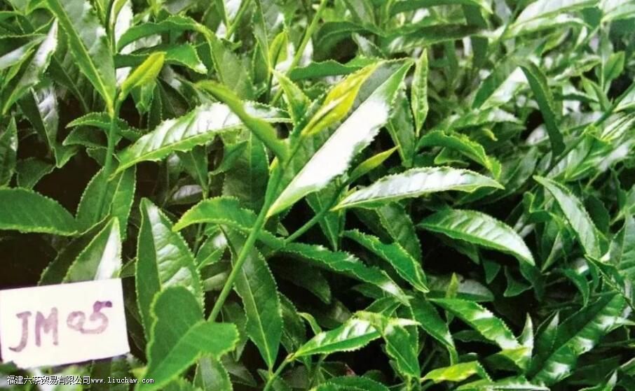 �ƽ������ʲô��