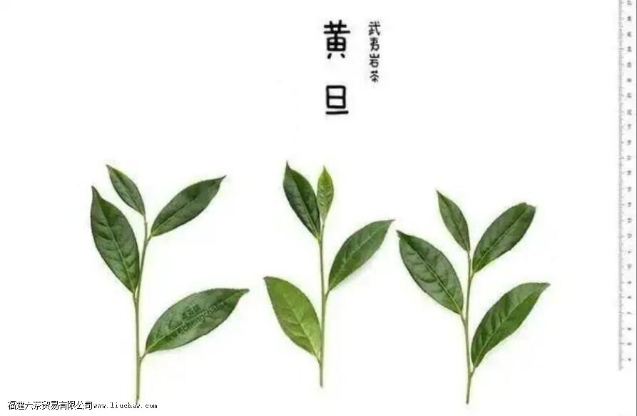 �ƽ������ʲô��