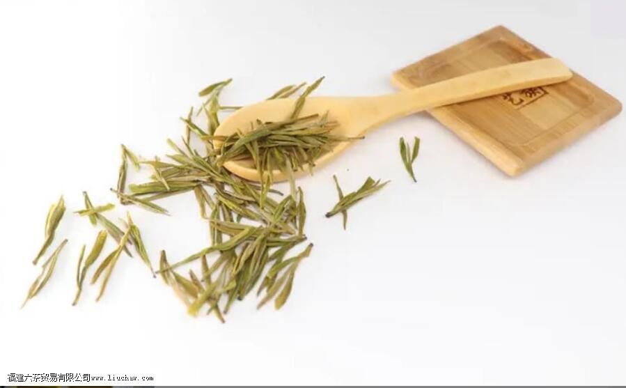 黄金芽茶叶产地 黄金芽茶叶产地