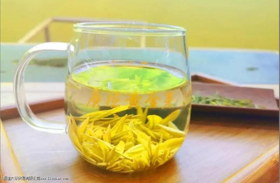 黄金芽茶叶产地 黄金芽茶叶产地