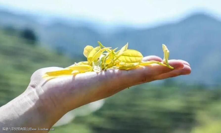 �ƽ�ѿ��Ʒ������