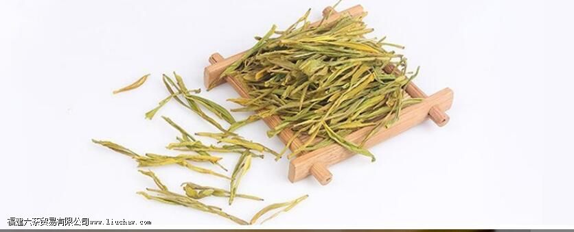 黄金芽的生长环境 黄金芽的生长环境