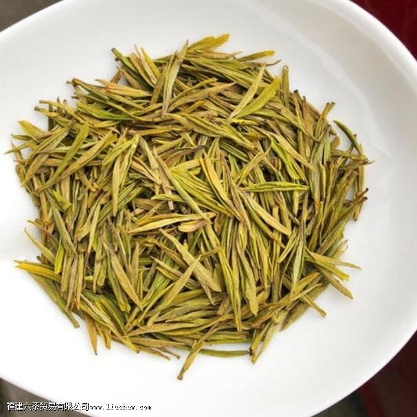 黄金芽的生长环境 黄金芽的生长环境