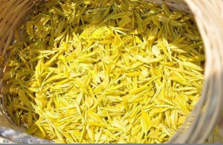 �ƽ�ѿ���̲���