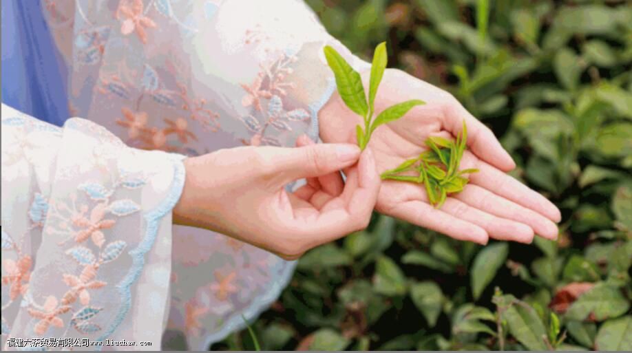 �����Ҷ��һ��ɲ�