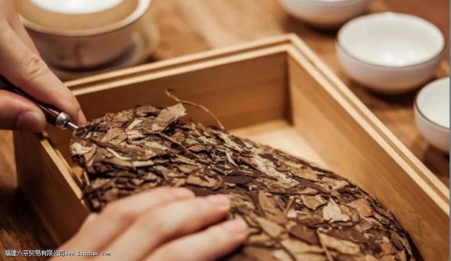 ����ײ������