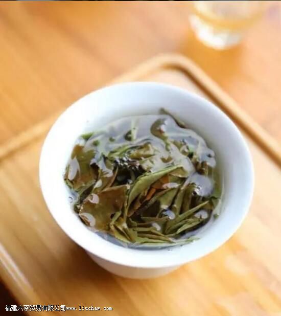 建阳小白是什么茶 建阳小白是什么茶