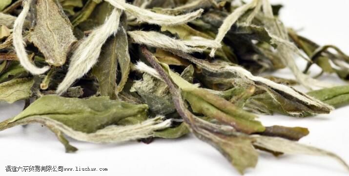 解暑茶有哪些 解暑茶有哪些