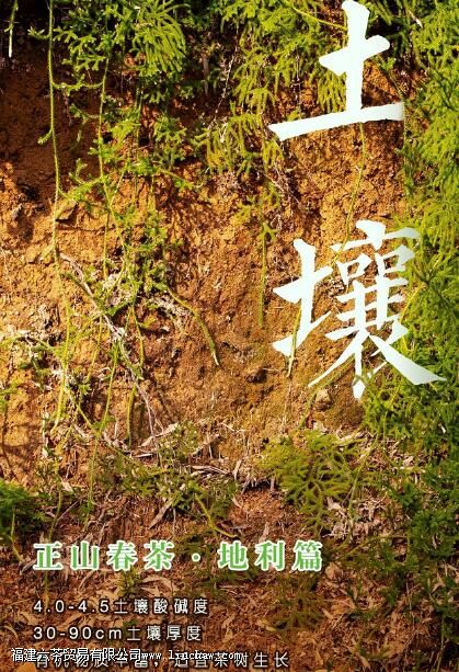 金骏眉为什么带蜜香 金骏眉为什么带蜜香