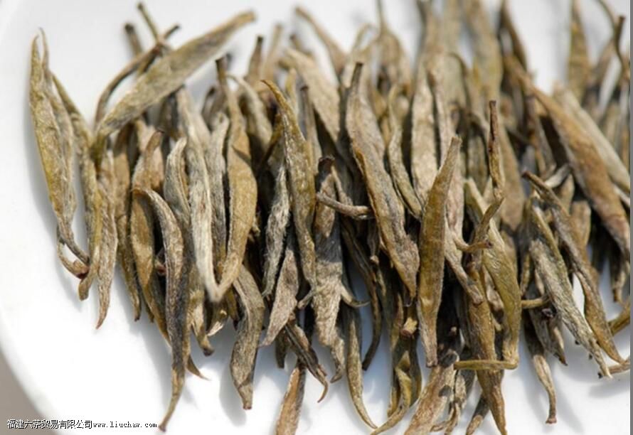 �������Ҷ����ʲô��