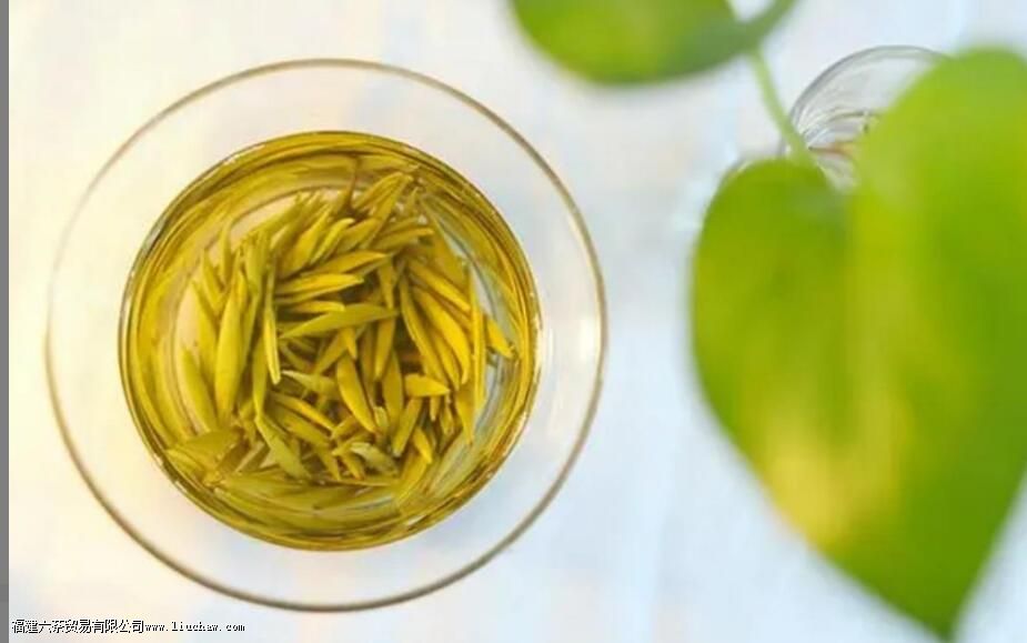 �������Ҷ����ʲô��