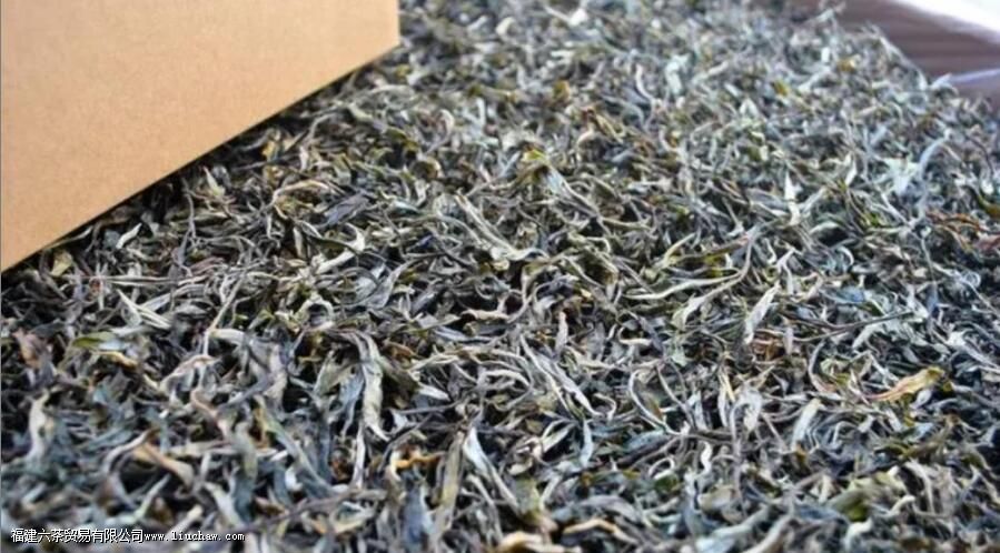 ��������ɽ���յĿڸ�