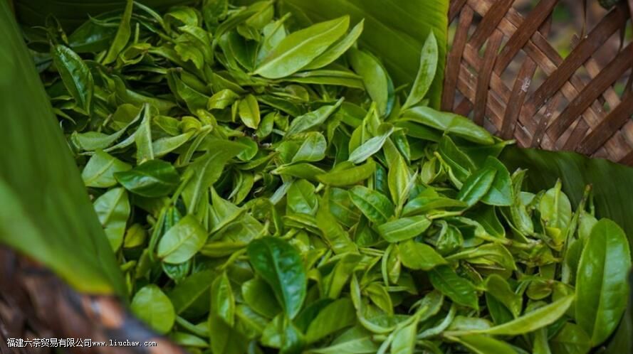 ��������ɽ���յĿڸ�