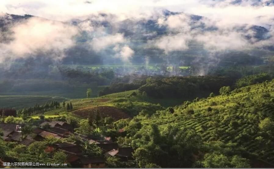景迈茶区有哪些山 景迈茶区有哪些山