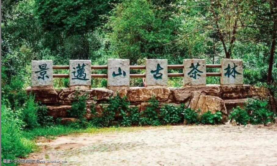 景迈茶区有哪些山 景迈茶区有哪些山
