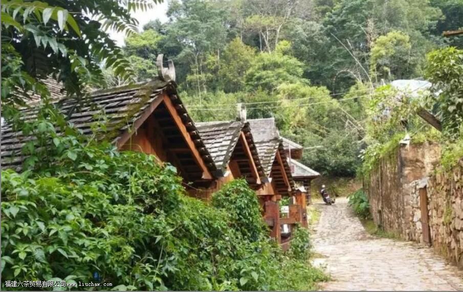 景迈茶区有哪些山 景迈茶区有哪些山