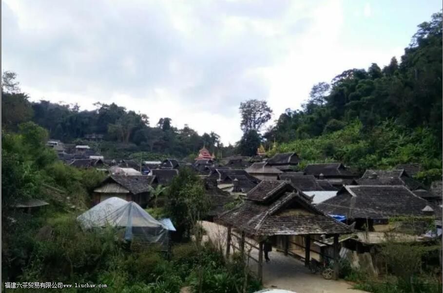 景迈茶区有哪些山 景迈茶区有哪些山