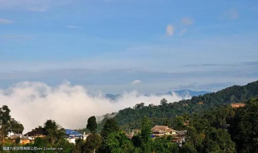 景迈茶区有哪些山 景迈茶区有哪些山
