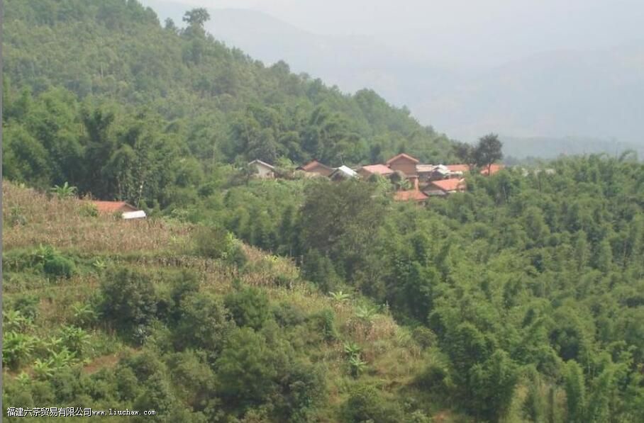 景迈茶区有哪些山 景迈茶区有哪些山