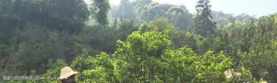 �������ʲô������Щ�ص�