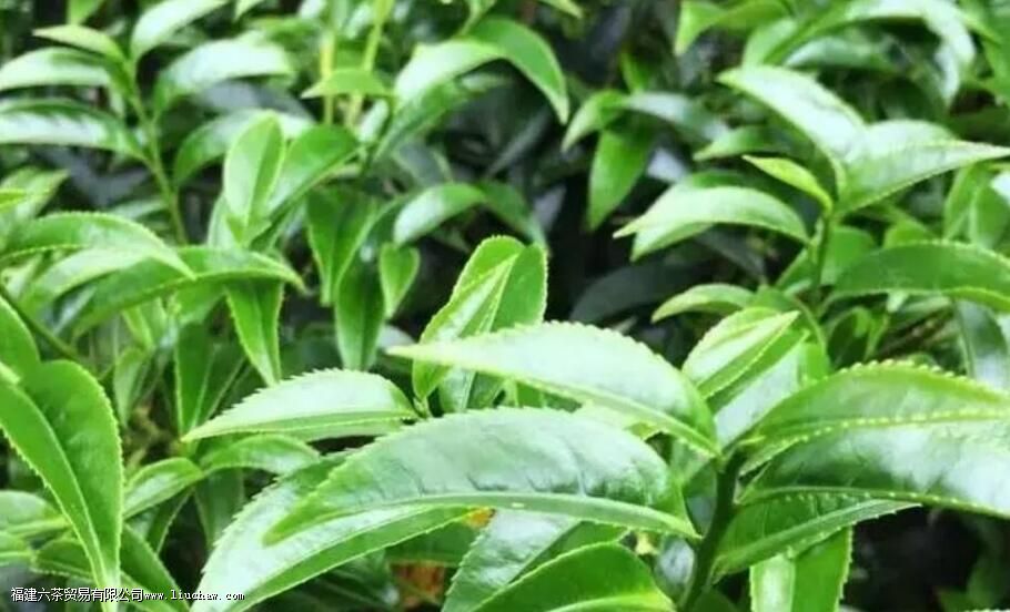 �������ʲô������Щ�ص�