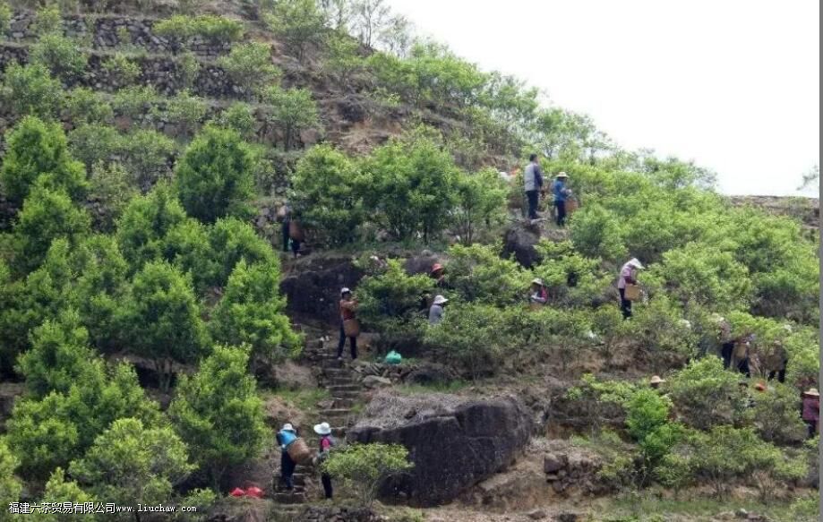 �������ʲô������Щ�ص�