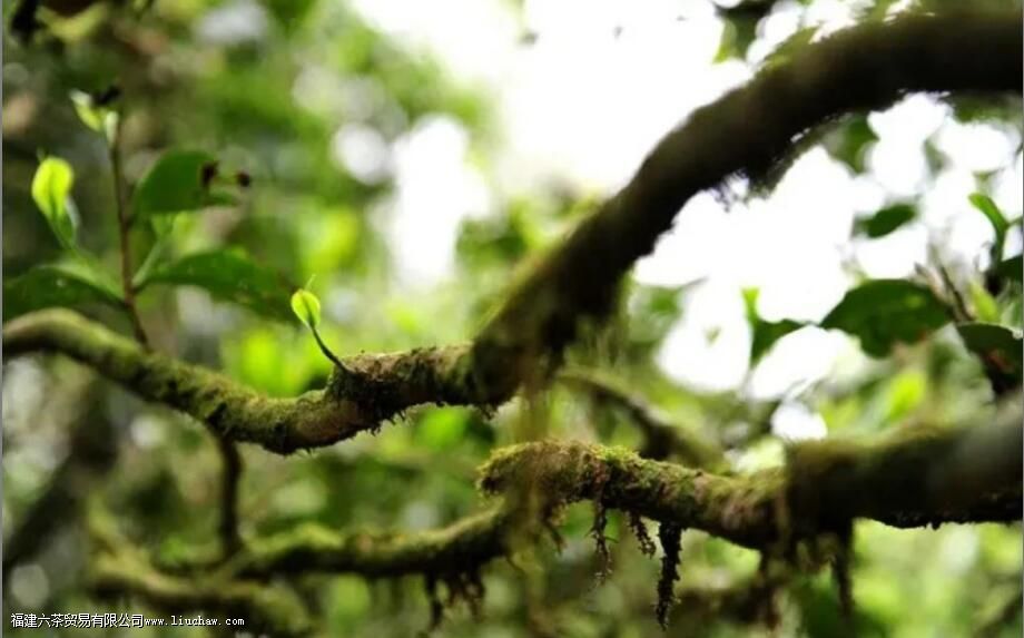 �������ʲô������Щ�ص�