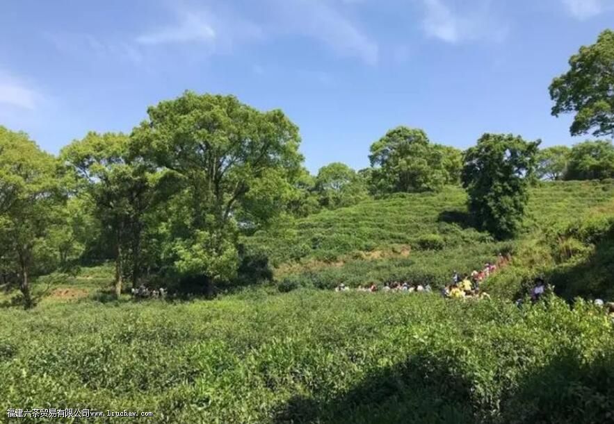 ��ɽ������������