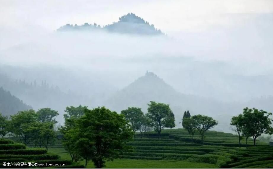 ������������ʲô��