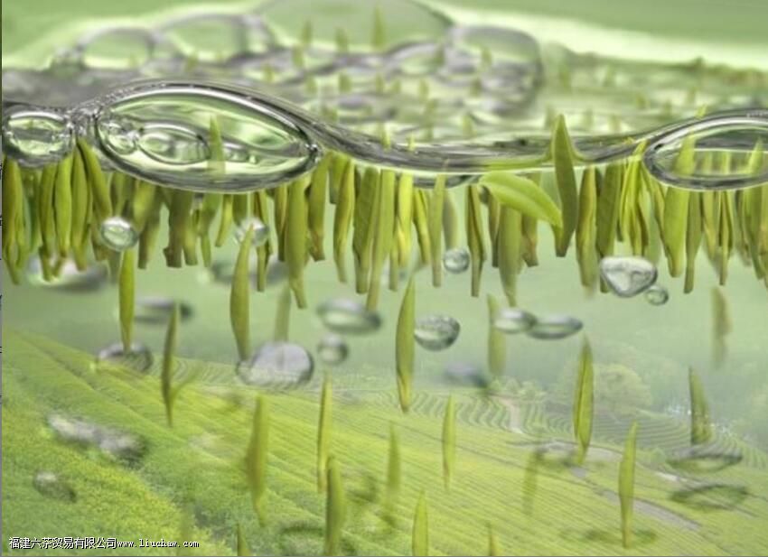 ������������ʲô��