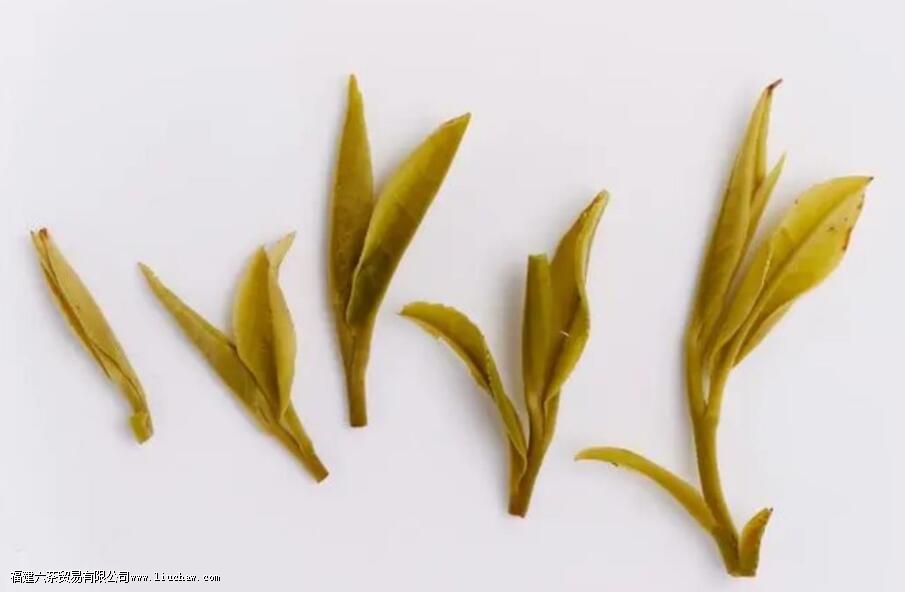 �����š���������ʵ�������⼸��ϸ��Ҫע��