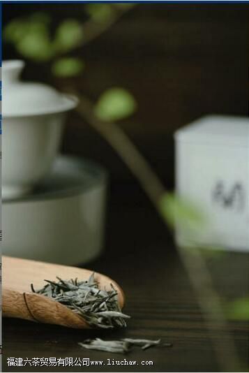 ����ѩ�����ʲô��