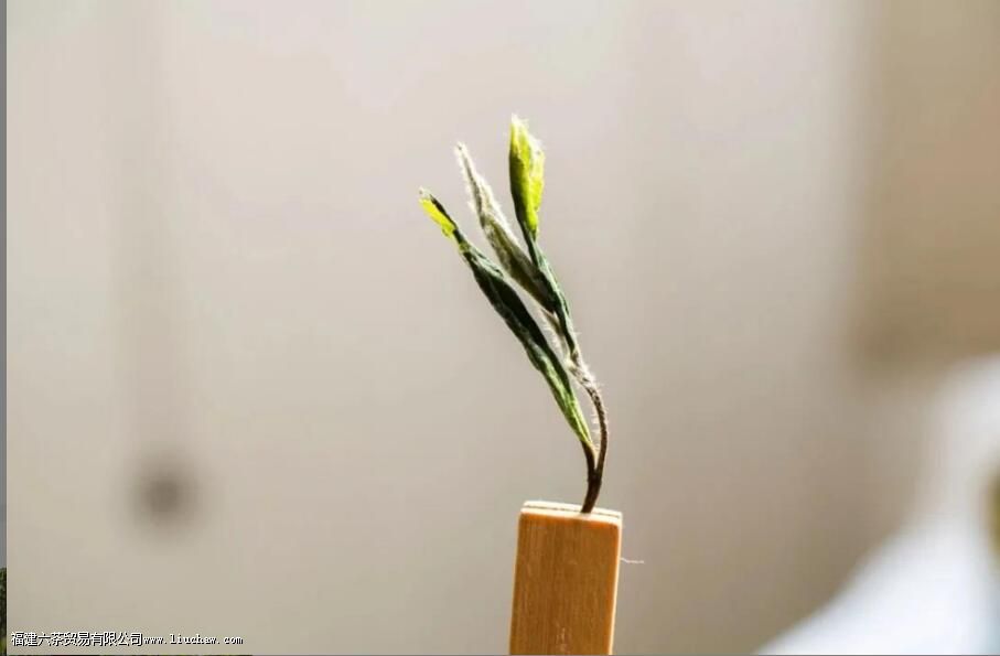 �ϰײ��ɽҰ���к�����