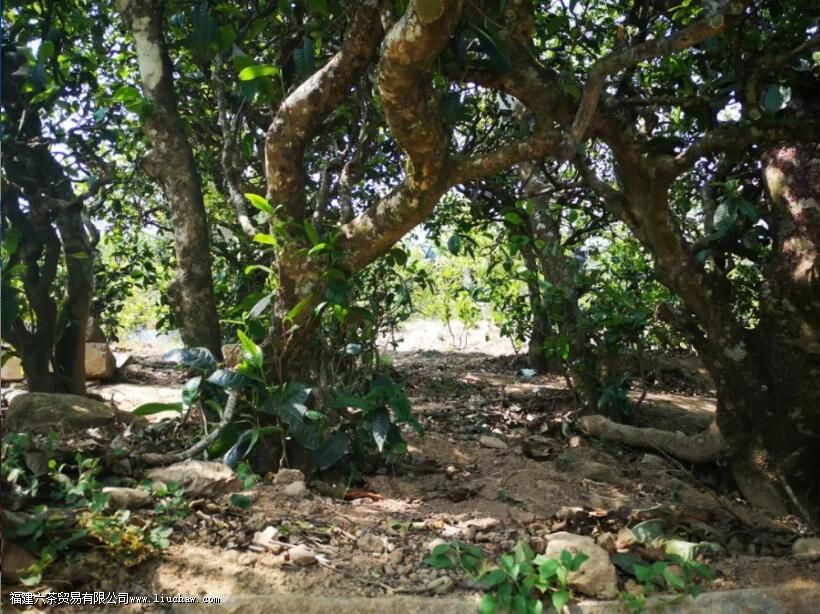 �ϰ����ն�������ص�