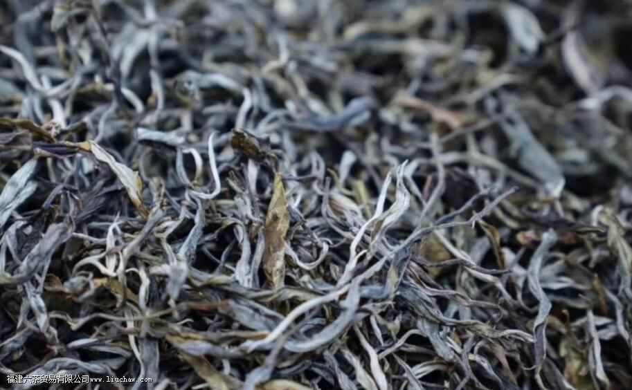 老班章属于普洱茶吗 老班章属于普洱茶吗