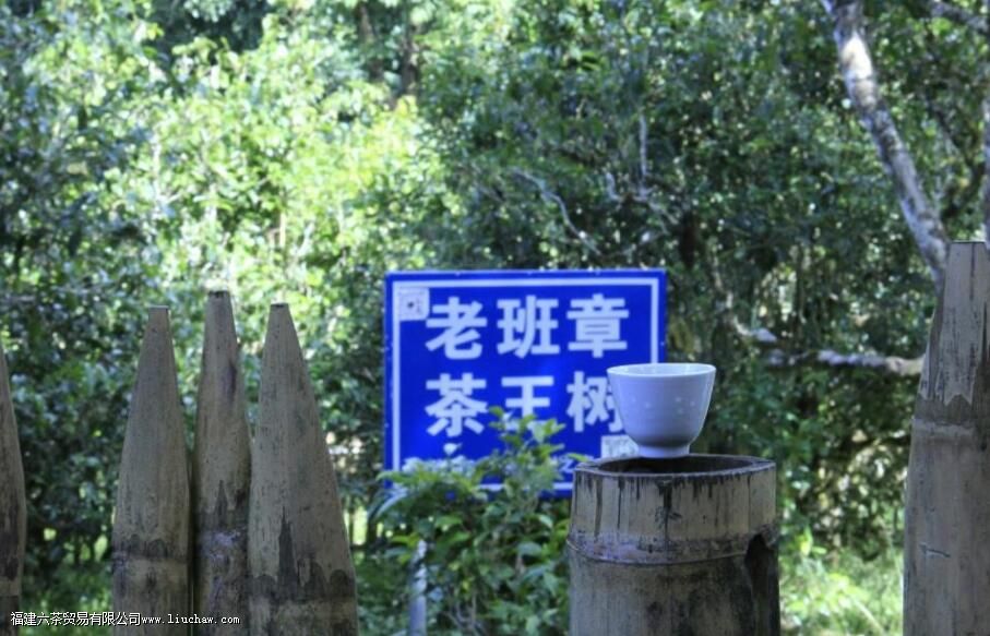 老班章属于普洱茶吗 老班章属于普洱茶吗